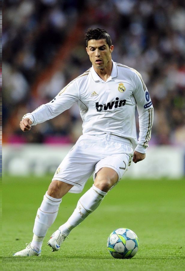 球场嗅觉和 球场嗅觉和