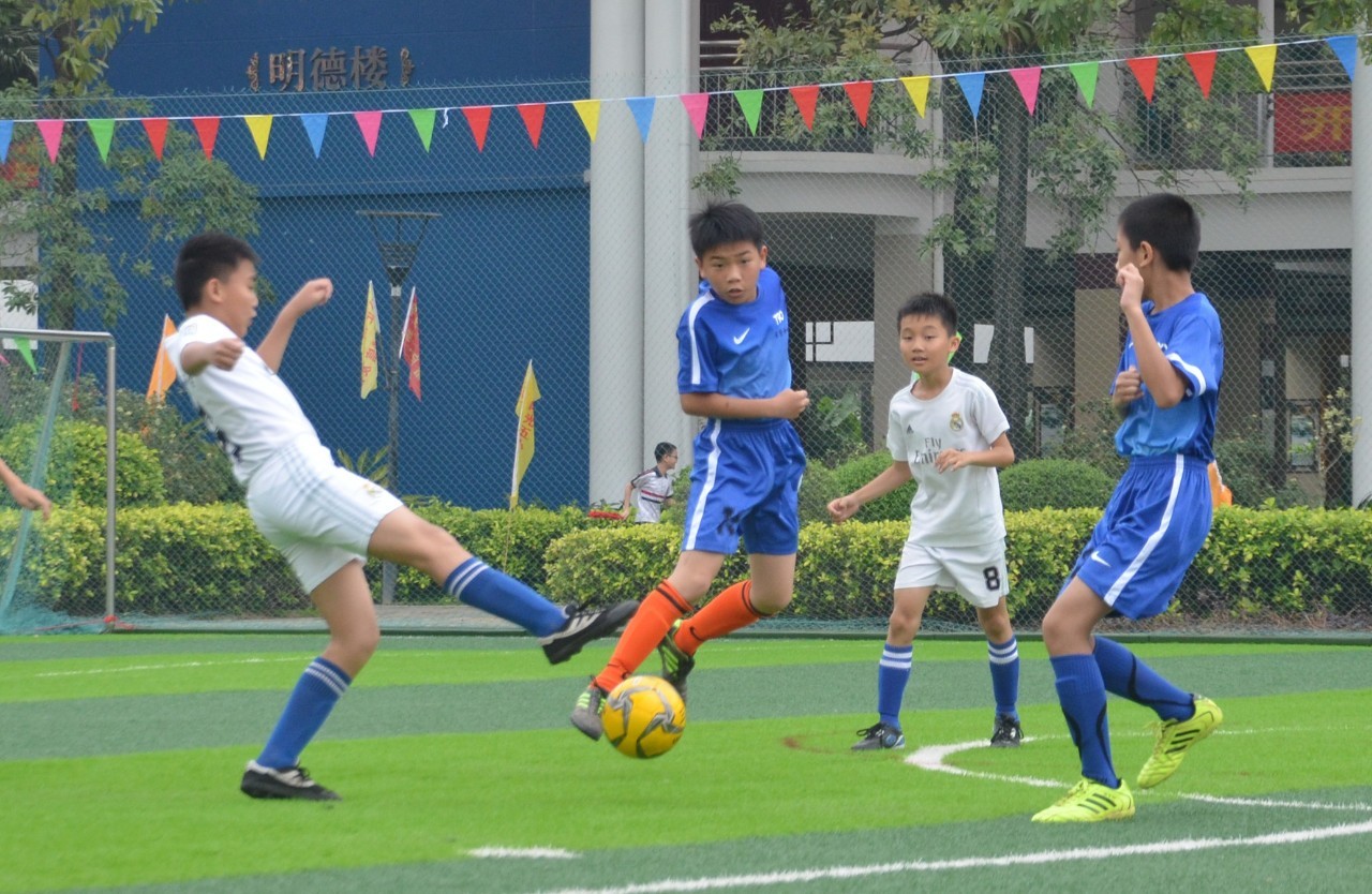 替代方案 替代方案