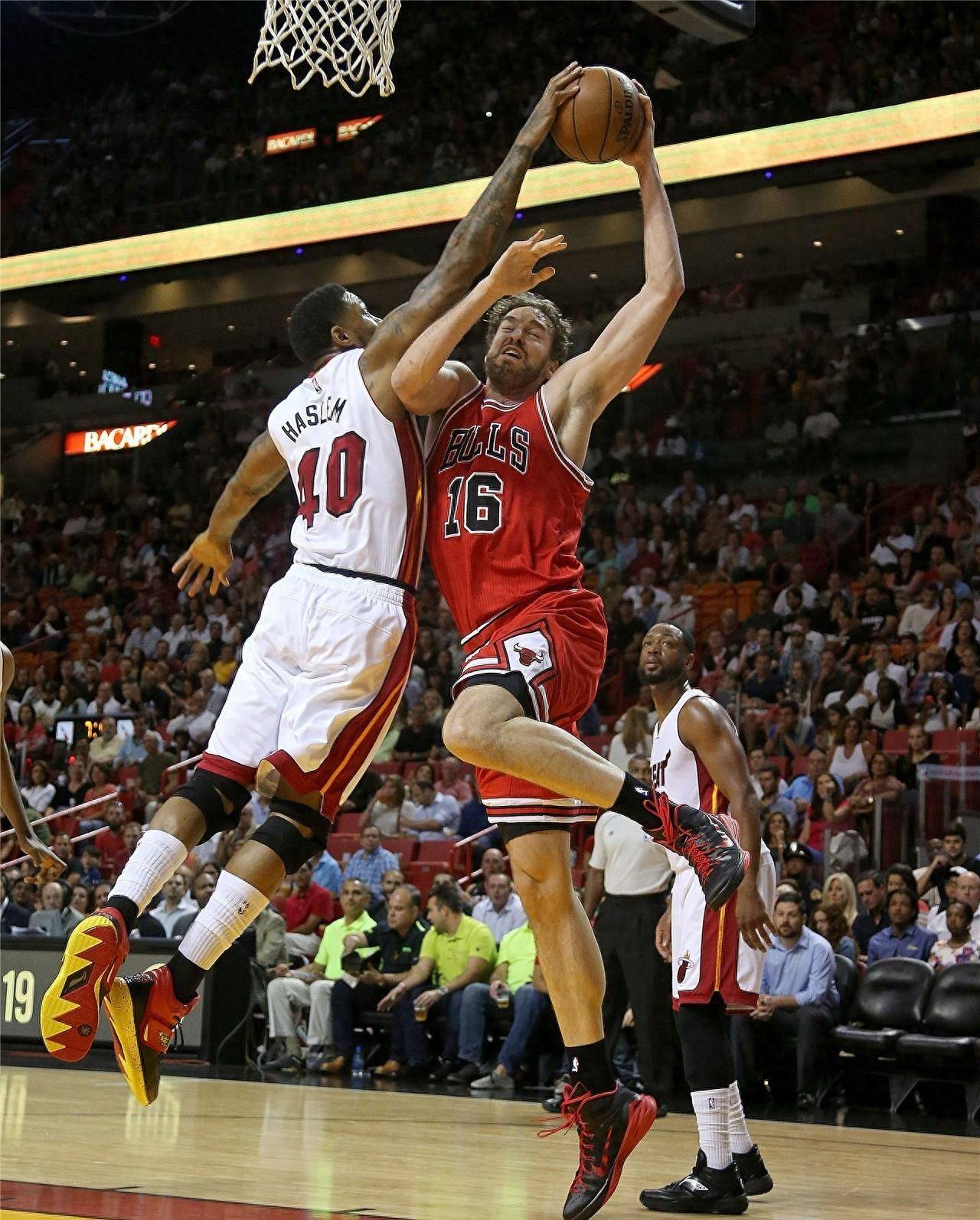 提供多方面 提供多方面